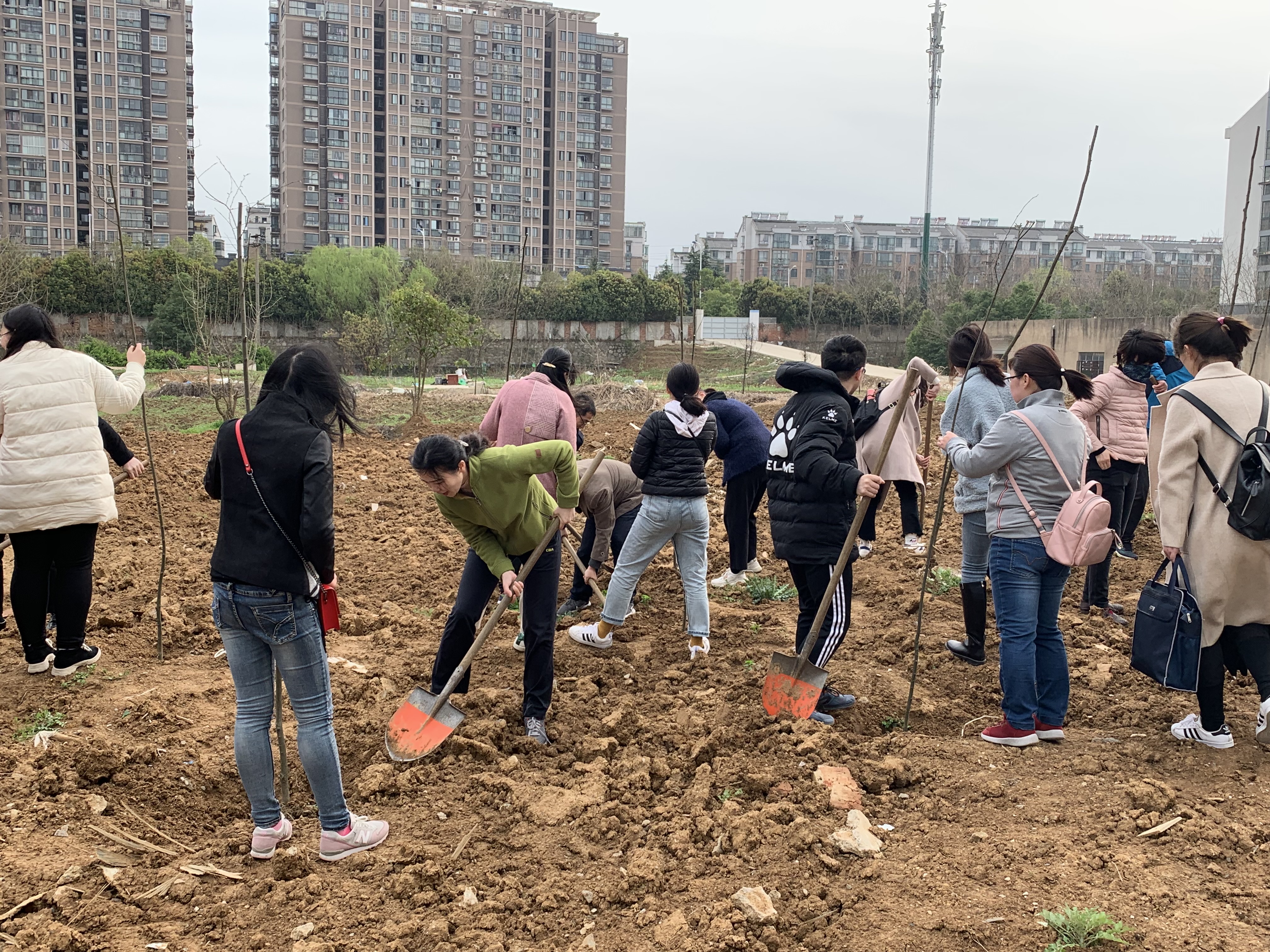 经管学院开展义务植树主题党日活动